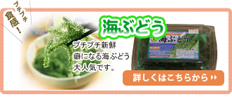 同梱 海ぶどう