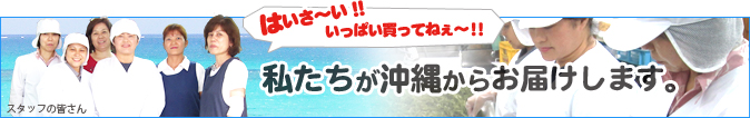 ���줫�餪�Ϥ����ޤ�