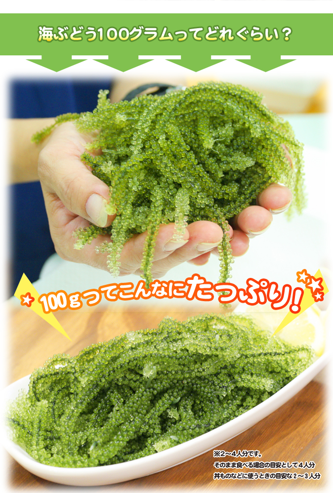 ���֤ɤ������������äƤ���ʤˤ��äפ�