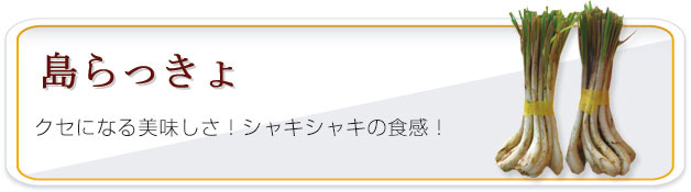 ���ä��礦