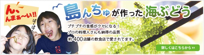 �����夬��ä����֤ɤ�